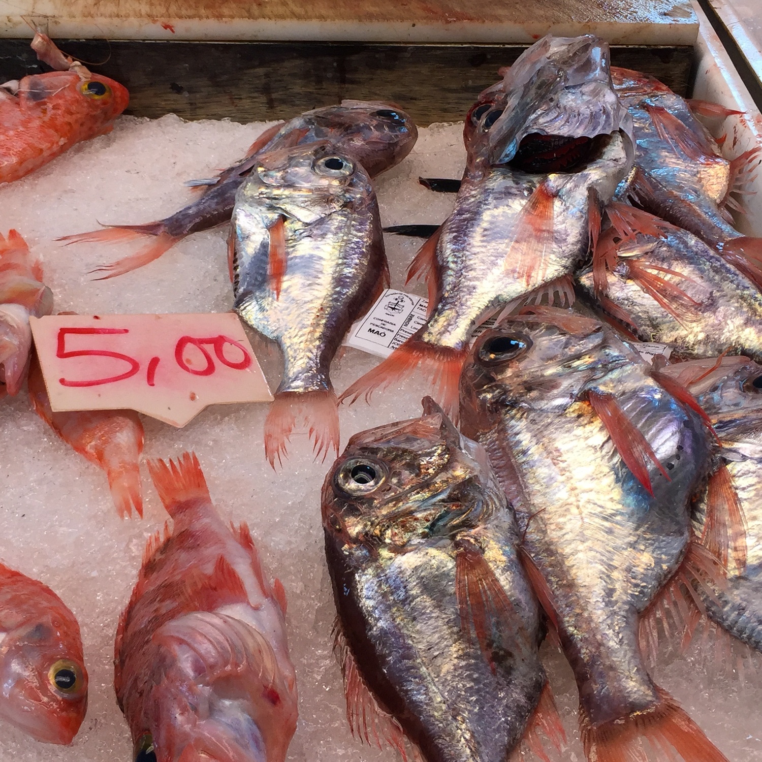 Fishmarket in Mahon in Menorca Photo Heatheronhertravels.com