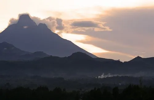 Gorilla Trekking in Rwanda Photo: Audleytravel.com