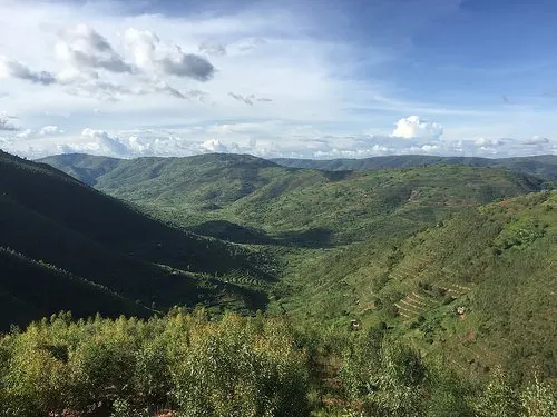 Gorilla trekking in Rwanda Photo: Audleytravel.com