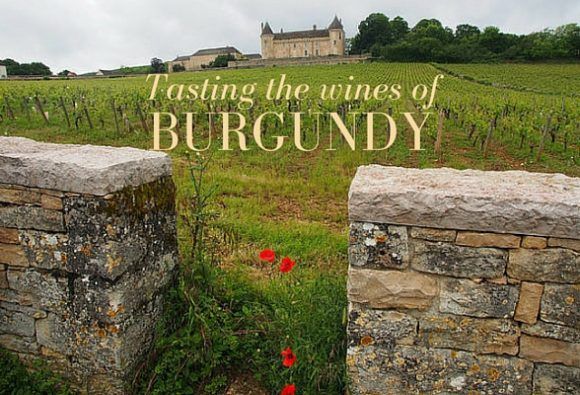Tasting the wines of Burgundy