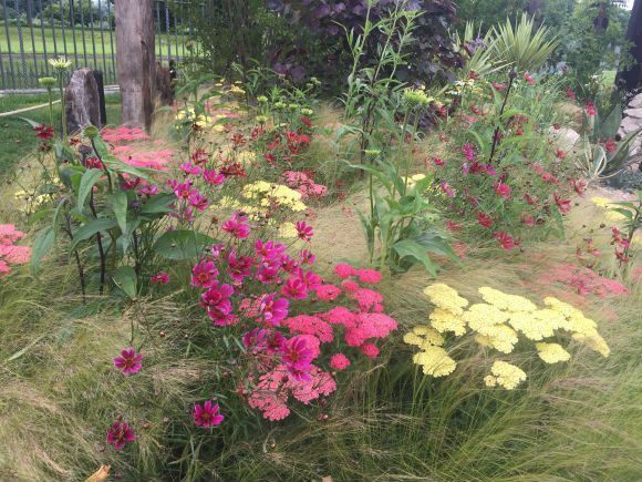 Austin Garden at RHS Hampton Court Flower Show Photo Heatheronhertravels.com