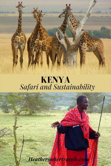 Read about Safari and Sustainability in Kenya