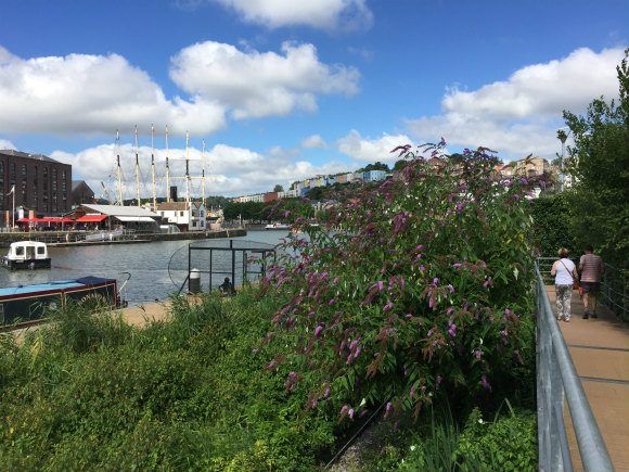 Walk along Bristol Harbour