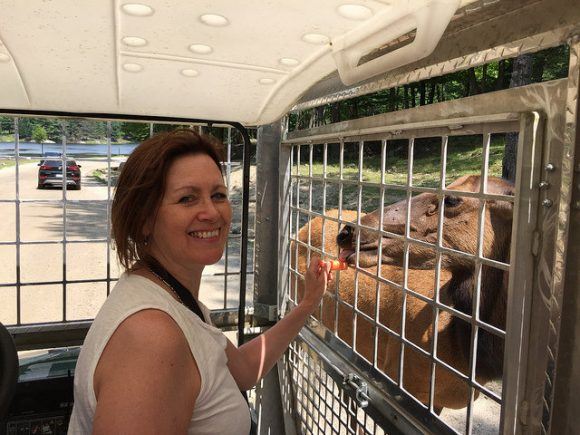 Feeding deer at Parc Omega in Quebec