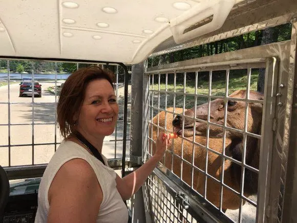 Feeding deer at Parc Omega in Quebec