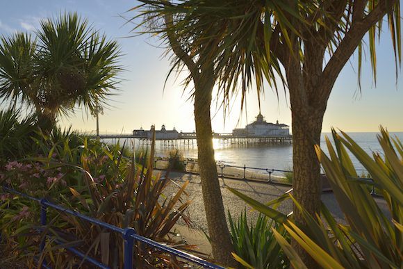 The beach at Eastbourne Photo: Visit Eastbourne