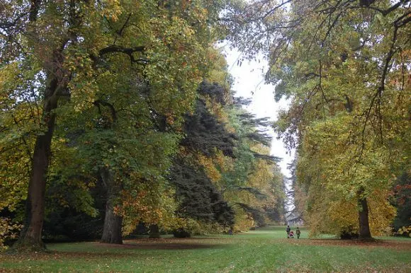 Autumn at Westonbirt Arboretum Photo: Chris Callaghan