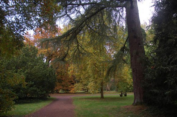 Autumn at Westonbirt Arboretum Photo: Chris Callaghan