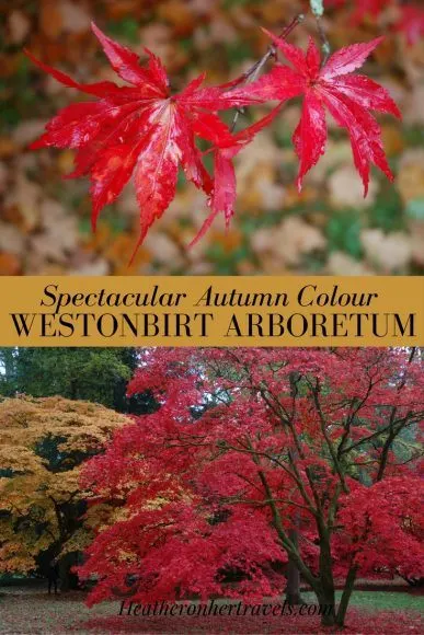 Read about Spectacular Autumn Colour at Westonbirt Arboretum