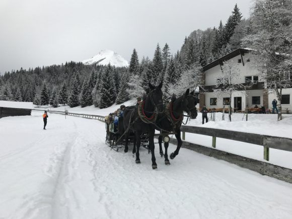 Horse and carriage in Seefeld