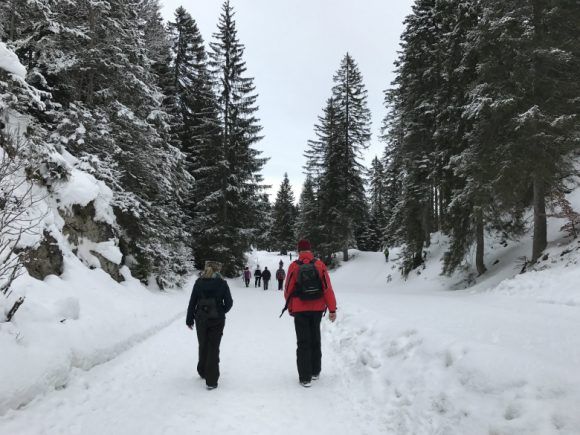 Winter hiking in Wildmoosalm