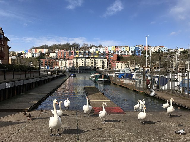 Bristol harbourside