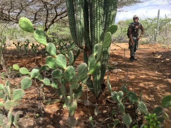 Aruba Hiking Arikok national Park Photo: Heatheronhertravels.com