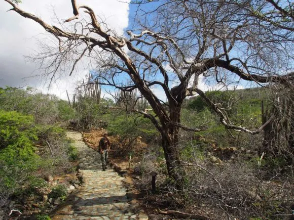 Hiking in Aruba, Arikok national Park Photo: Heatheronhertravels.com