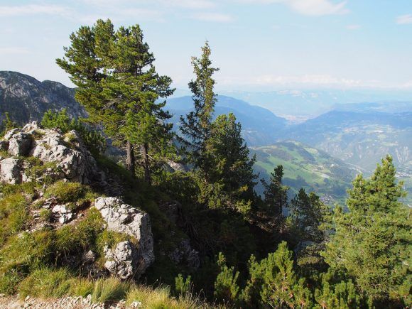 Hiking in South Tyrol