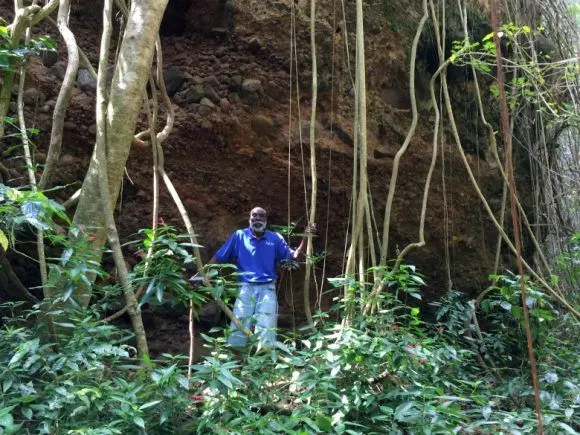 Rainforest Walk near the Wingfield Estate Photo: Heatheronhertravels.com