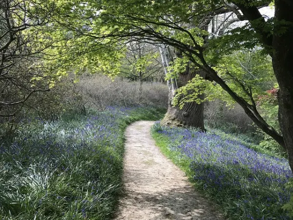 Petworth, West Sussex Photo: Heatheronhertravels.com