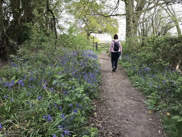 Walk near Lickfold, West Sussex Photo: Heatheronhertravels.com