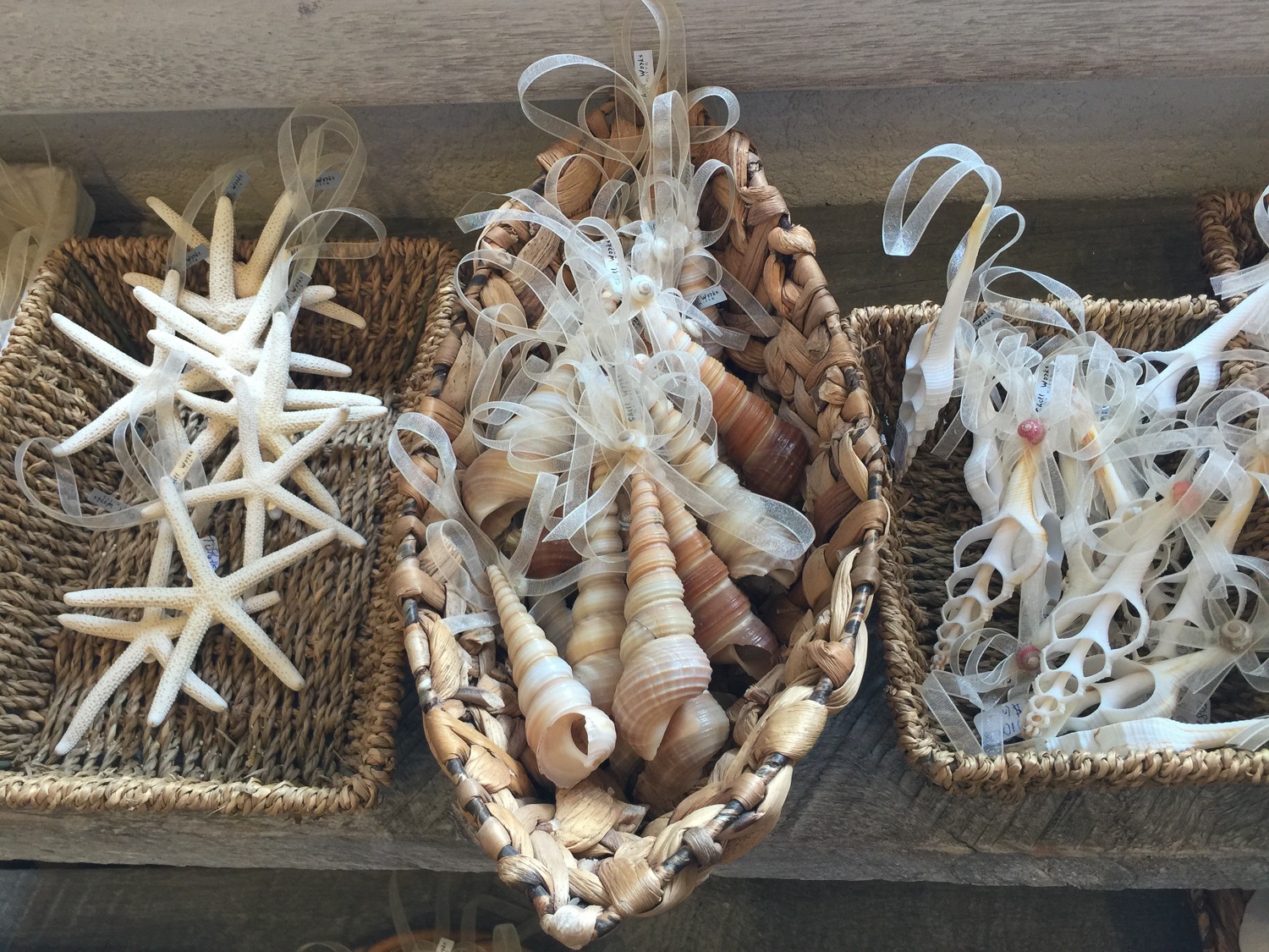 Shell ornaments - shopping in St Kitts Photo Heatheronhertravels.com