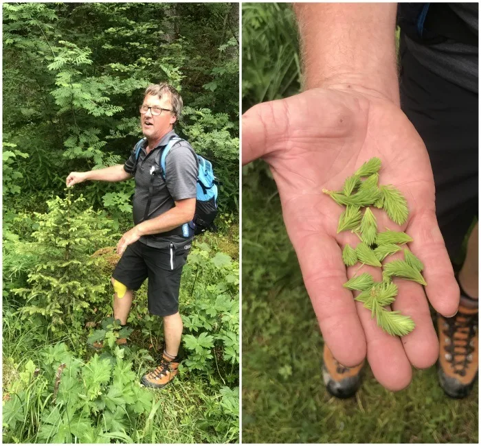 Foraging in Vorarlberg