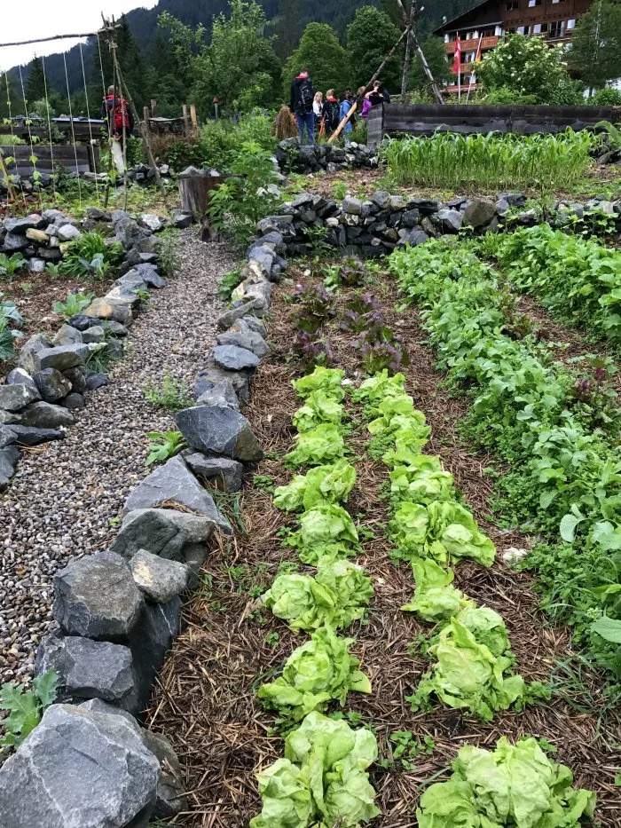 Narandi Permaculture, Kleinwalsertal, Vorarlberg, Austria Photo: Heatheronhertravels.com