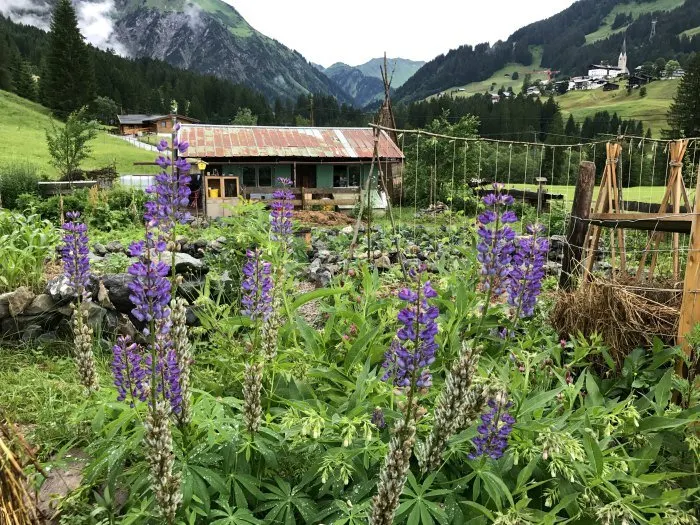 Narandi Permaculture, Kleinwalsertal, Vorarlberg, Austria Photo: Heatheronhertravels.com