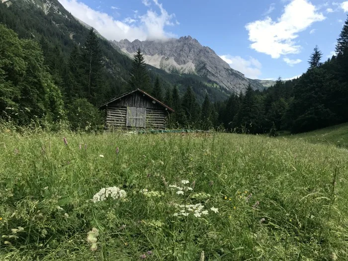 Walk with Herbert Edlinger, Kleinwalsertal, Vorarlberg, Austria Photo: Heatheronhertravels.com