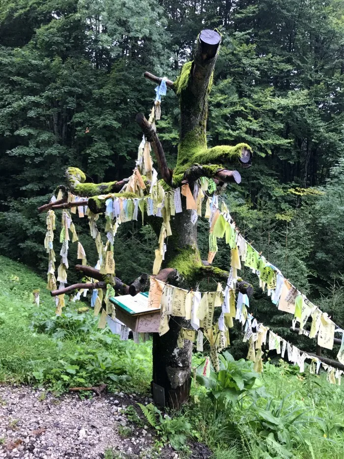 Hiking on the Windlegernweg - Salzkammergut Austria Photo: Heatheronhertravels.com