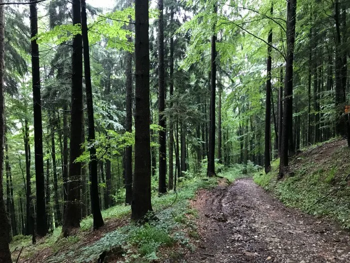 Hiking on the Windlegernweg - Salzkammergut Austria Photo: Heatheronhertravels.com