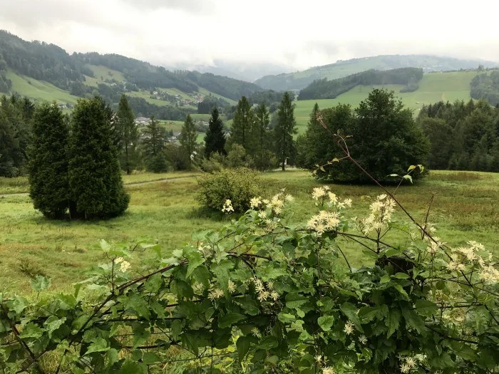 Hiking on the Wiandlegernweg - Salzkammergut Austria Photo: Heatheronhertravels.com