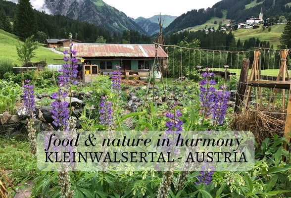 Read about food and sustainability in Kleinwalsertal Austria