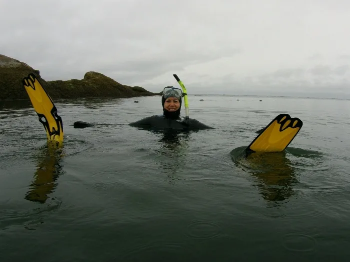 Snorkeling with seals in Nanaimo