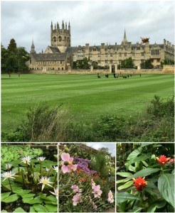 Christ College Meadows and Oxford Botanic Gardens