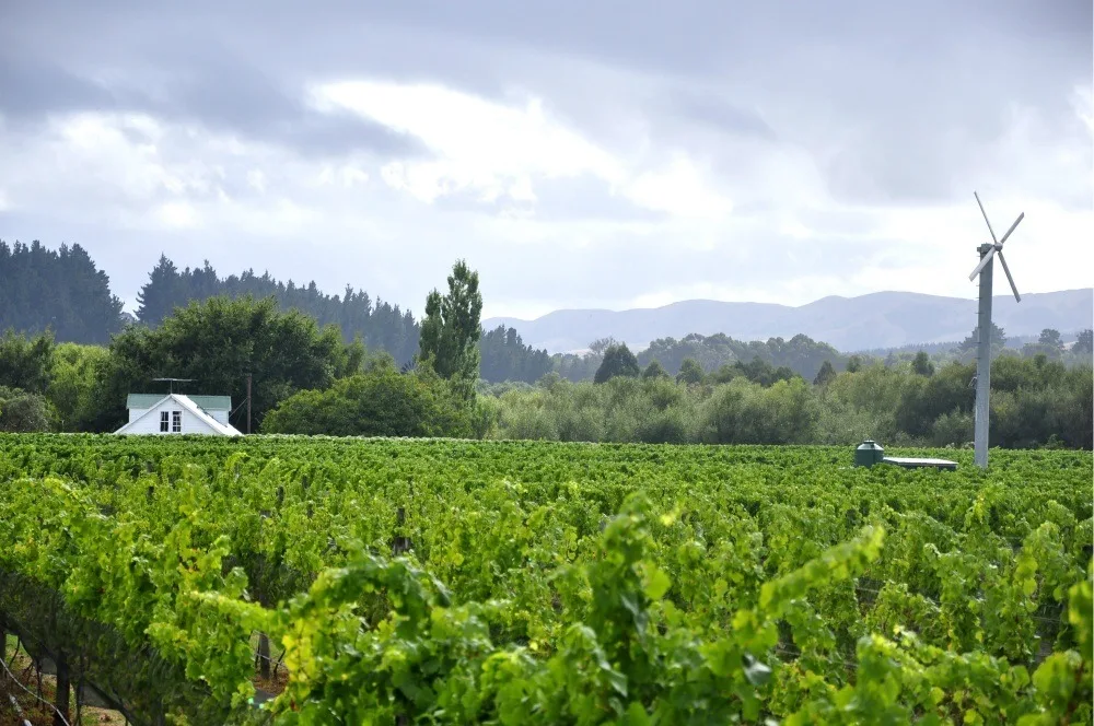 Wairarapa in New Zealand