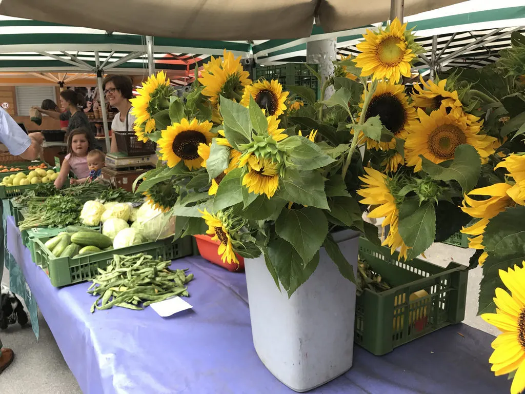 Farmer's Market in Graz