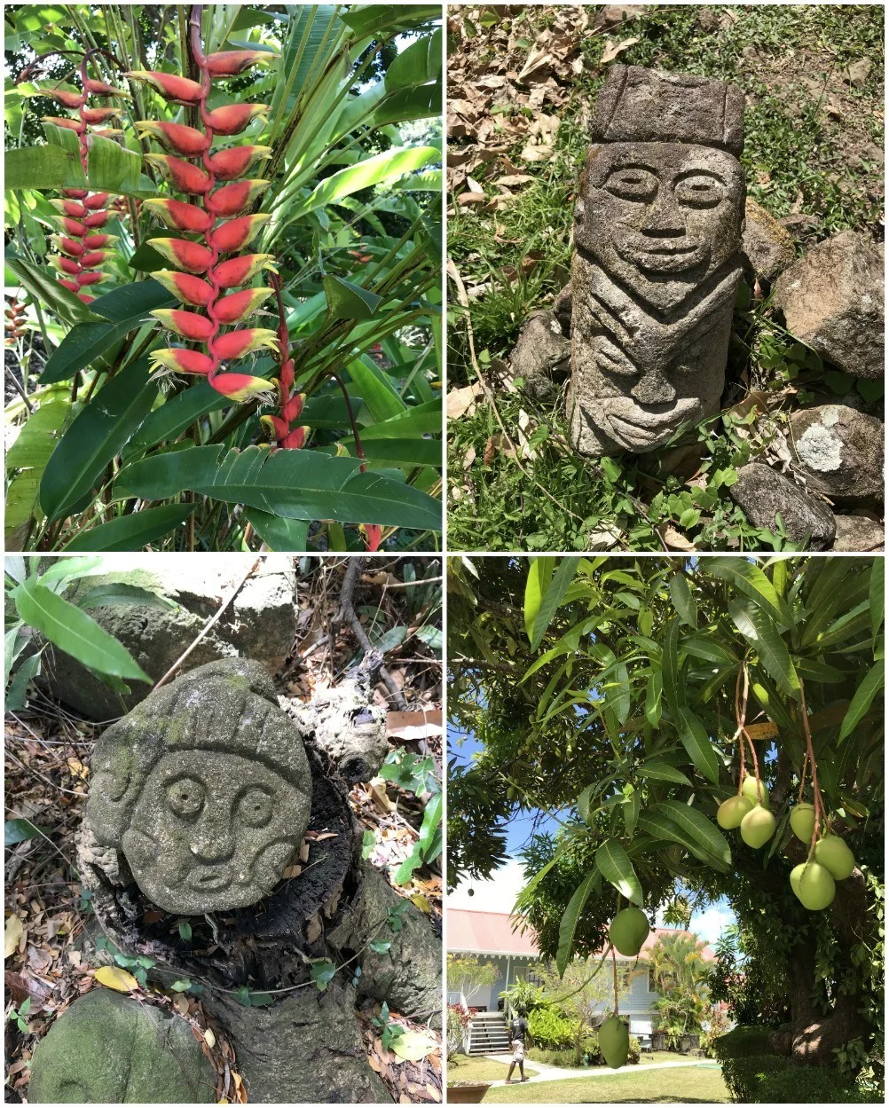 Mt Edgecumbe in Grenada Photo Heatheronhertravels.com