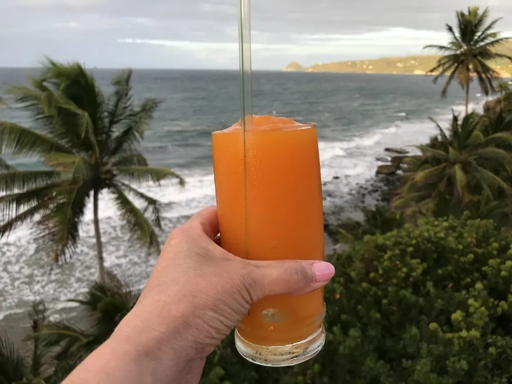 View at Petite Anse in Grenada Photo Heatheronhertravels.com