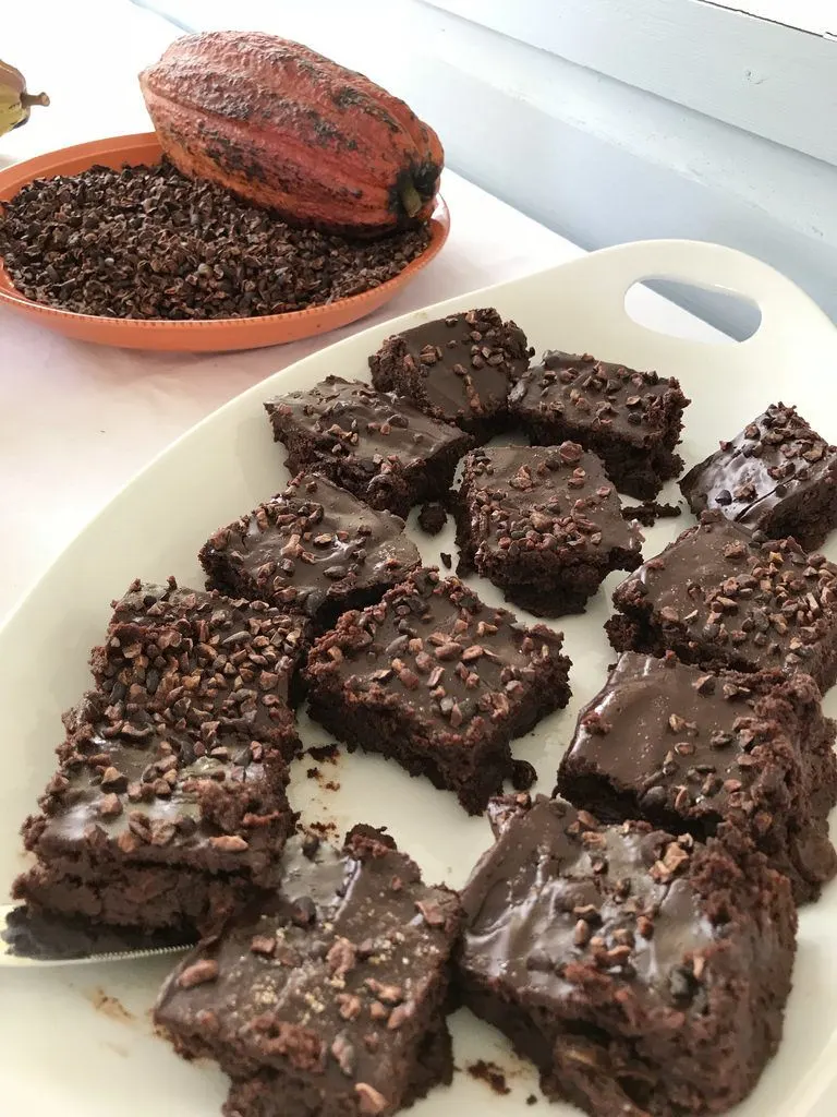 Will Torrent Grenada chocolate brownies