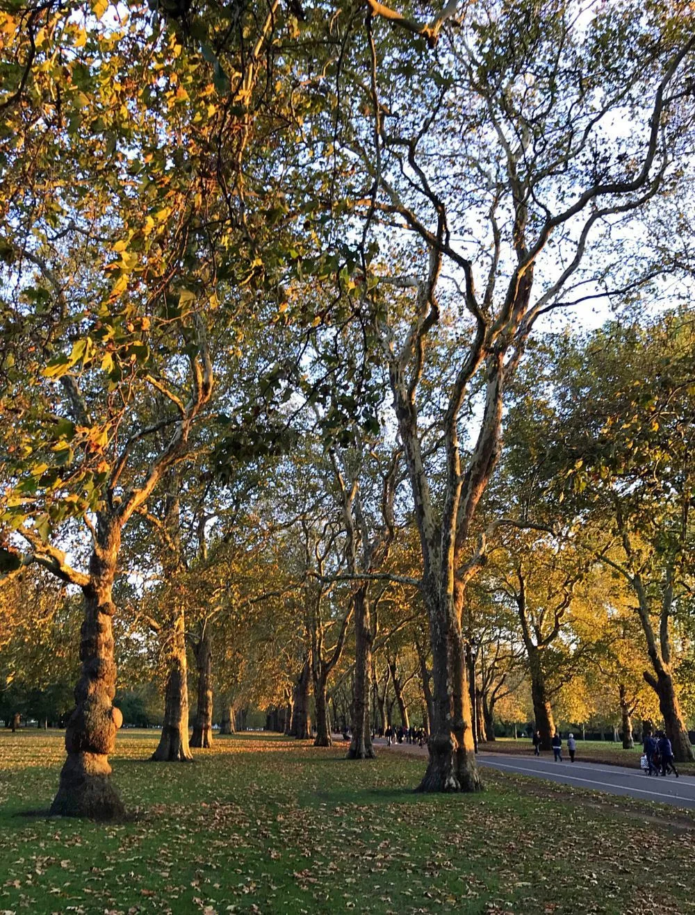 Hyde Park in London Photo Heatheronhertravels.com