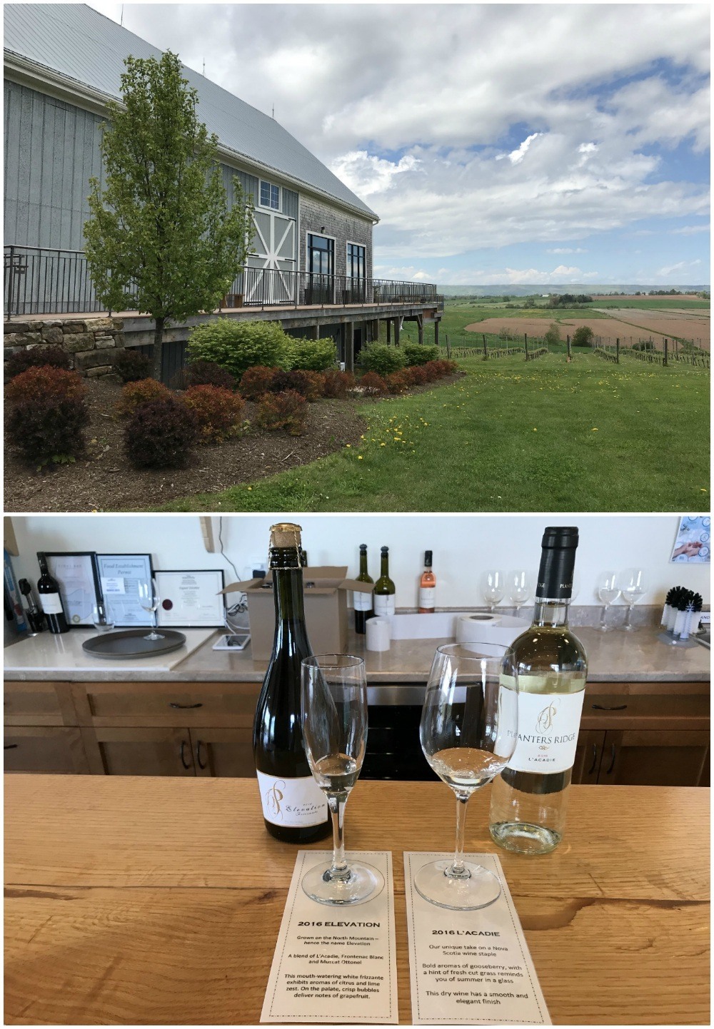 Planter's Ridge winery in Nova Scotia Canada