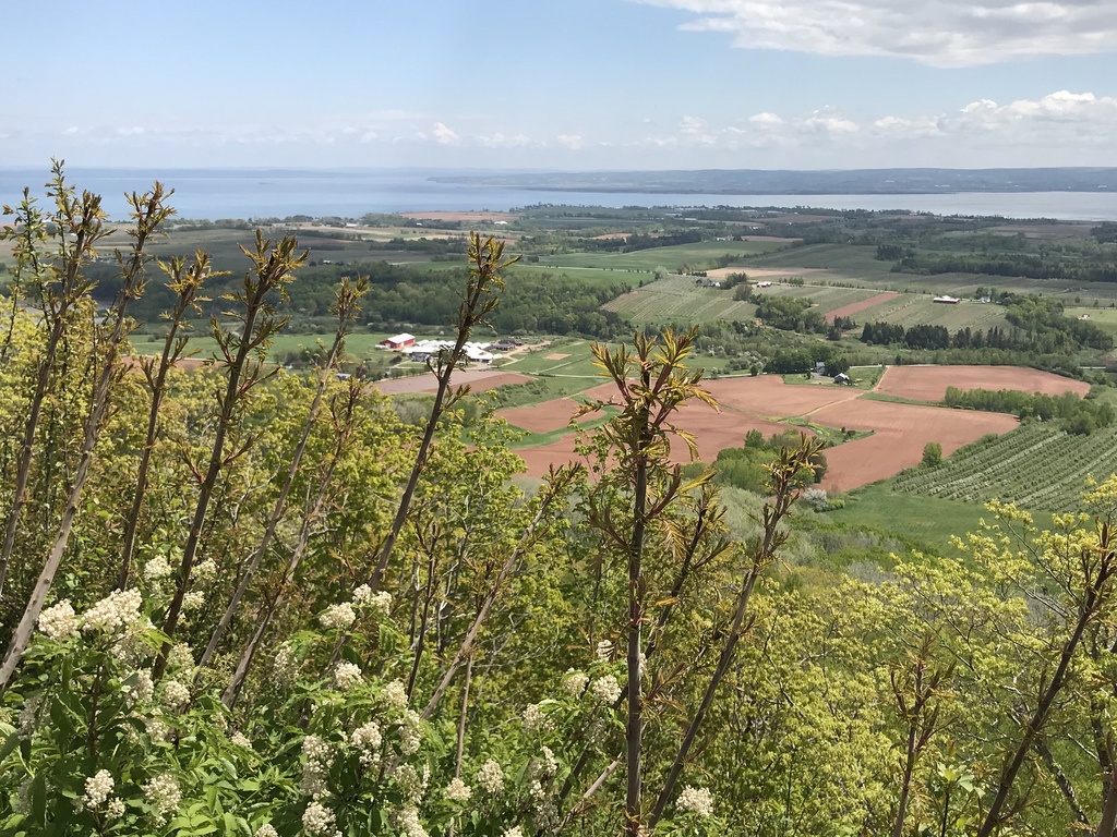 The lookoff over Annapolis Valley in Nova Scotia Canada Photo Heatheronhertravels.com