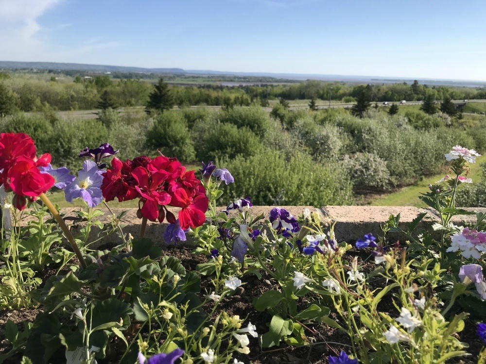 View from Old Orchard Inn Wolfville Nova Scotia