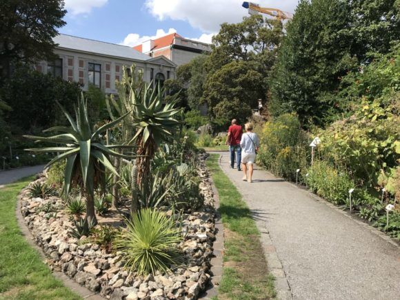 Things to do in Antwerp - Botanic Garden in Antwerp Photo Heatheronhertravels