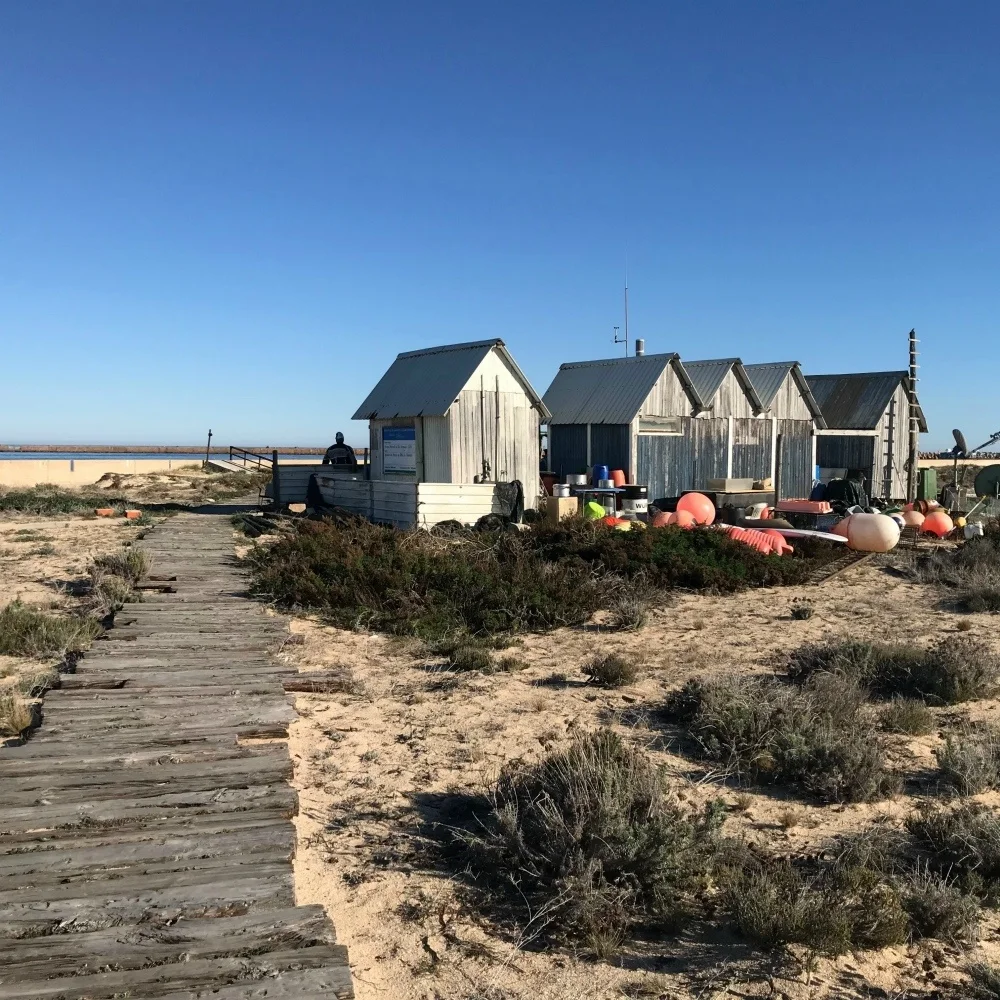 Fishermens huts on Ilha Deserta on Ria Formosa Boat trip from Faro Photo Heatheronhertravels