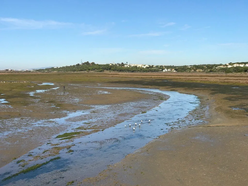 Mud flats of Ria Formosa at Quinta do Lago