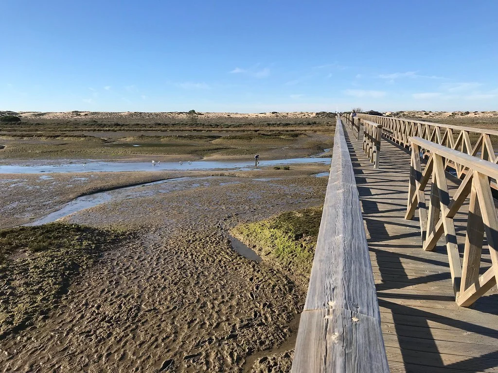 Mud flats of Ria Formosa at Quinta do Lago Algarve