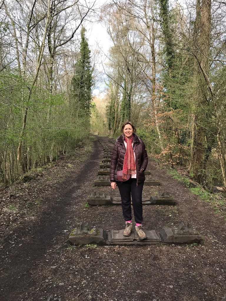 Forest of Dean Sculpture Trail - Iron Road by Keir Smith - Photo Heatheronhertravels.com