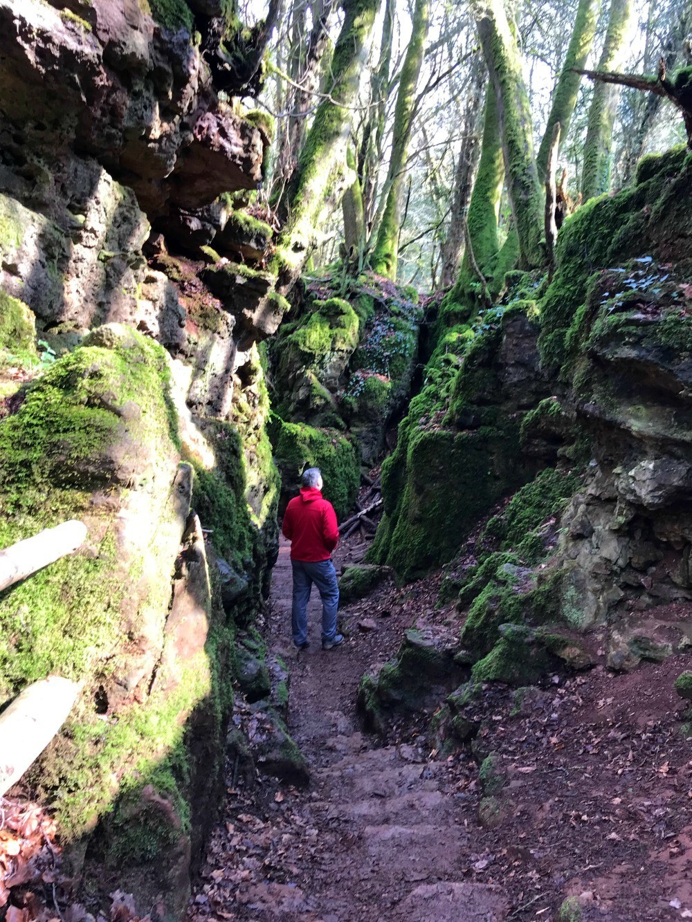 Puzzlewood Forest Photo Heatheronhertravels.com