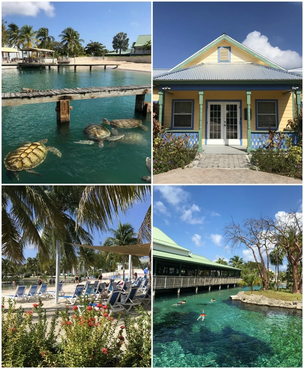 20 things to do in Grand Cayman pic photo