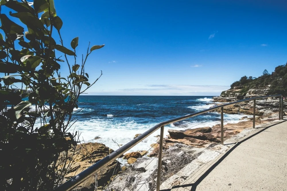 Bondi Walk in Sydney quentin-grignet-unsplash